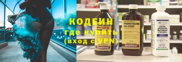 прущие грибы Балахна