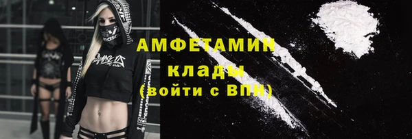 прущие грибы Балахна
