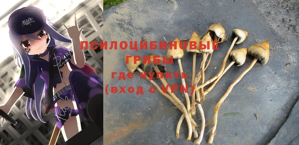 экстази Баксан