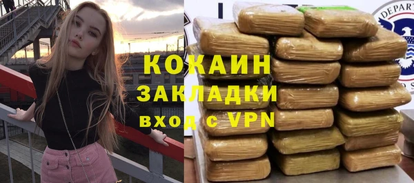 прущие грибы Балахна
