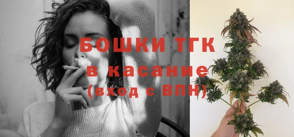 прущие грибы Балахна