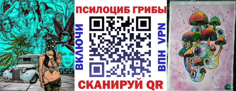 Галлюциногенные грибы Psilocybe Заозёрск